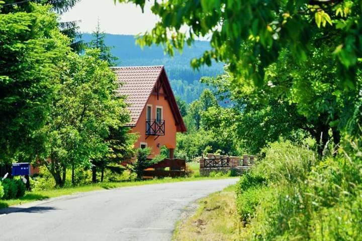 Wydrza-Przystan Villa Mirsk Exterior foto